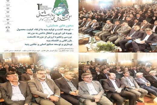 همایش روز جهانی پنبه برگزار شد