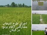 اجرای طرح انتخاب مشارکتی ارقام برنج در گیلان