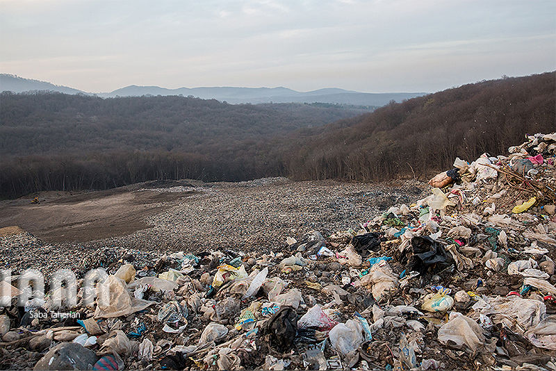 زباله دانی به وسعت یک جنگل