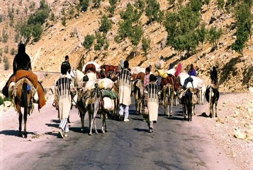  3000 کارت تردد برای عشایر چهارمحال و بختیاری صادر شد