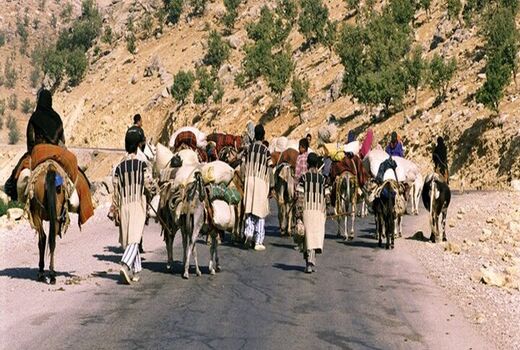  3000 کارت تردد برای عشایر چهارمحال و بختیاری صادر شد