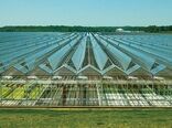 موفقیت طرح شهرک‌های کشاورزی نیازمند هماهنگی نهادهای مسئول است/ جلوگیری از تخریب منابع پایه

