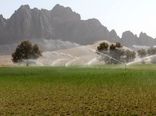 امسال حدود 9 هزار هکتار آبیاری نوین درسیستان وبلوچستان اجرا می شود