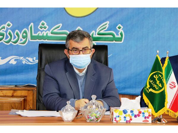 راه‌اندازی زنجیره ارزش محصولات زنبور عسل در مازندران