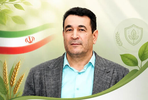پیشگیری و اقدام به‌موقع، کلید حفاظت از محصول گندم در برابر زنگ زرد