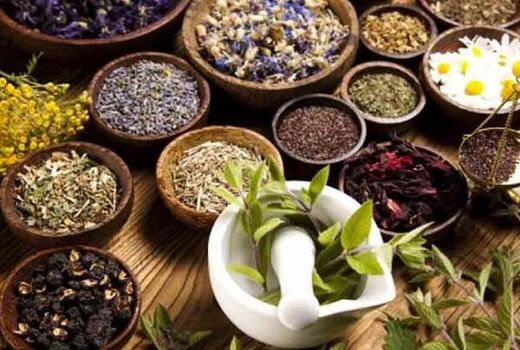 کاشت گیاهان دارویی در ۶۵ هکتار از اراضی کشاورزی شهرضا