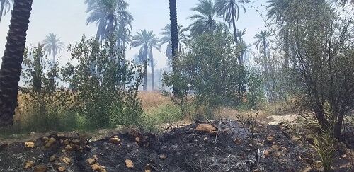 امسال هیچ حریقی در جنگل‌ها و مراتع شهرستان شاهرود رخ نداد