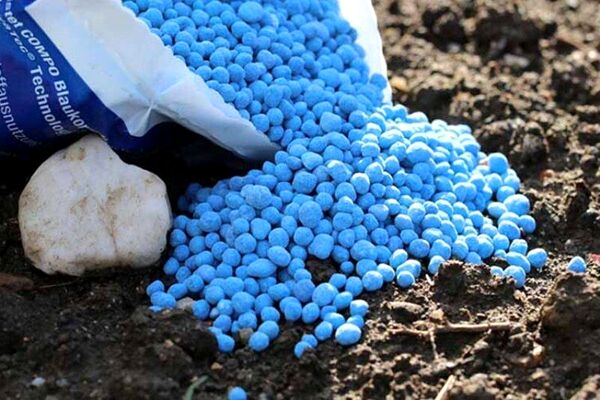 کاهش قیمت‌های کود در مقایسه با سال گذشته میلادی