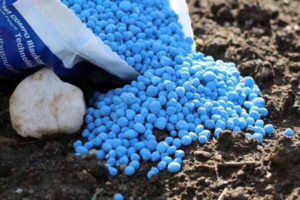 کود در میان کالاهای اصلی صادرات چین به کره شمالی