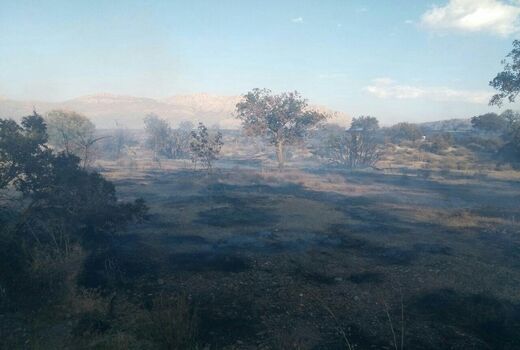 با داده‌های فضایی، آتش‌ پارک گلستان را کنترل کردیم