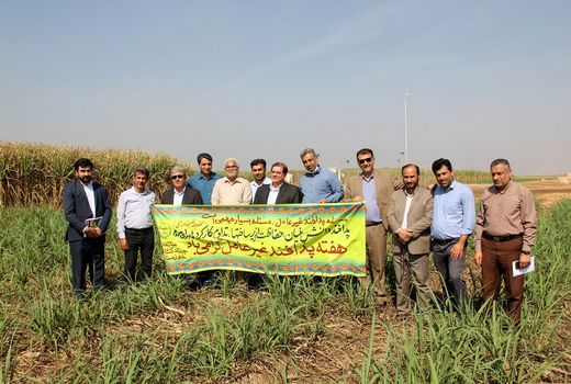 افزایش ضریب سلامت و کاهش سموم با استفاده از روش های غیر شیمیایی و بیولوژیک در خوزستان