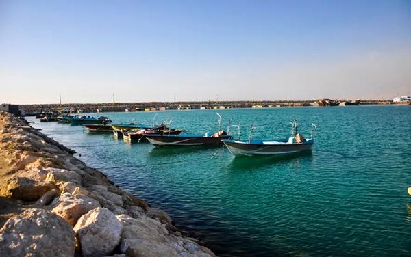  دریابست در صیدگاه‌های میگو اجرا می‌شود/ نتایج مثبت طرح سراسری دریابست در خلیج فارس
