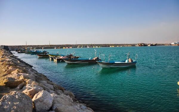  دریابست در صیدگاه‌های میگو اجرا می‌شود/ نتایج مثبت طرح سراسری دریابست در خلیج فارس

