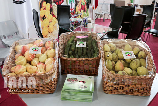 برگزاری اولین نمایشگاه فوق تخصصی زنجیره‌های ارزش محصولات باغبانی 2021 از حلقه تحقیق و توسعه تا فروش