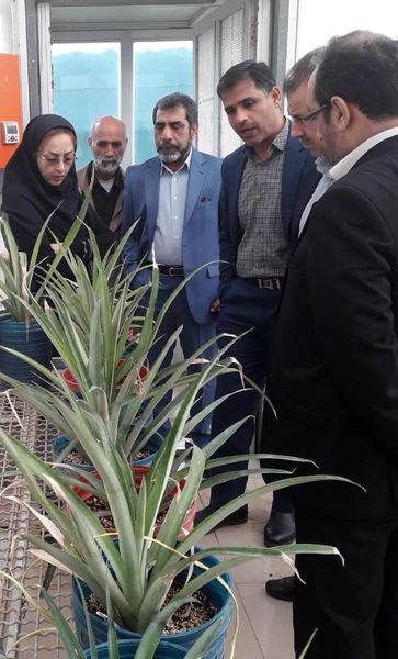 اجرای طرح‌های پژوهشی باغبانی در استان خوزستان