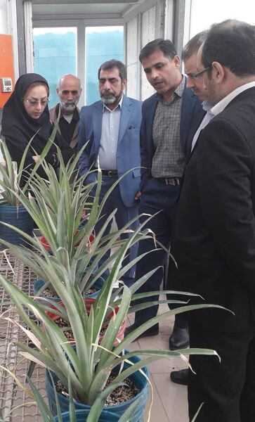 اجرای طرح‌های پژوهشی باغبانی در استان خوزستان