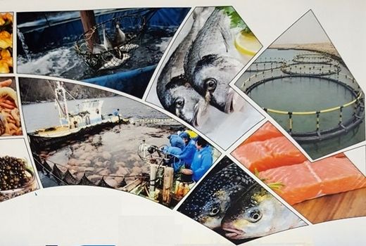 نخستین نمایشگاه تخصصی شیلات و صنایع وابسته در استان بوشهر برگزار می شود