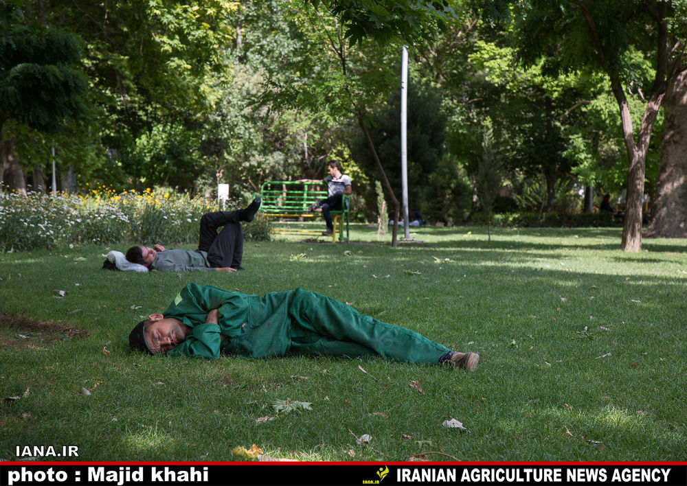 استراحت در فضای سبز شهری