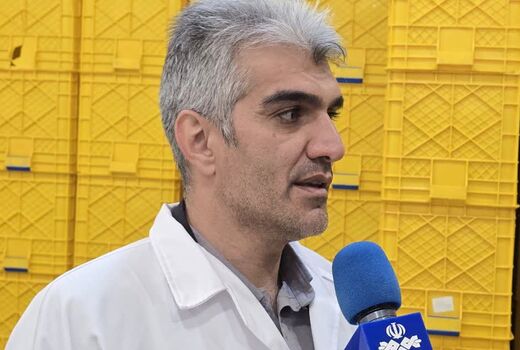 تکمیل زنجیره ارزش ماهیان سردآبی در چهارمحال و بختیاری/ اشتغال‌زایی برای ۱۵ هزار نفر