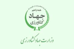 هدفگذاری دو میلیون هکتار کشت فراسرزمینی در برنامه هفتم توسعه/ پرداخت منابع ارزی به کشت فراسرزمینی