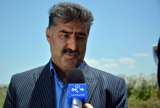 شناسایی  450 گونه گیاه دارویی در  آذربایجان شرقی