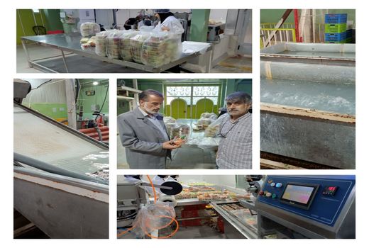 حمایت از توسعه صنایع تبدیلی و تکمیلی در دزفول