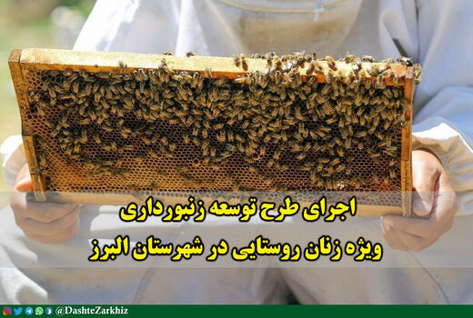 اجرای طرح توسعه زنبورداری ویژه زنان روستایی در شهرستان البرز
