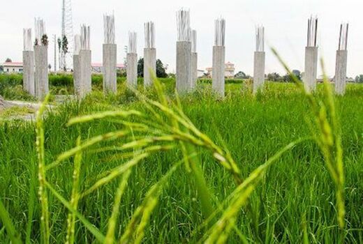 «مجوزهای پراکنده» بلای جان زمین‌های کشاورزی/ مختصات جغرافیایی اراضی مرغوب در سامانه ثبت می‌شود
