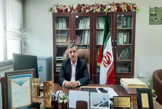 طرح دستیابی به پتانسیل عملکرد گندم در بوشهر اجرا می‌شود