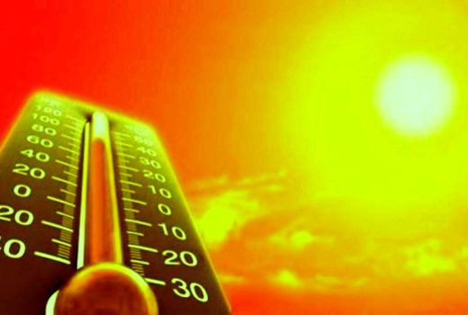 اثرات تغییرات اقلیمی بر استرس گرمایی دامها/ رعایت اصول بهداشت محیط و واکسیناسیون به‌موقع از آسیب‌های ناشی از گرما پیشگیری می‌کند