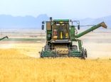 استمرار وضعیت کم آبی، تولید گندم از مزارع اصفهان را کاهش می دهد