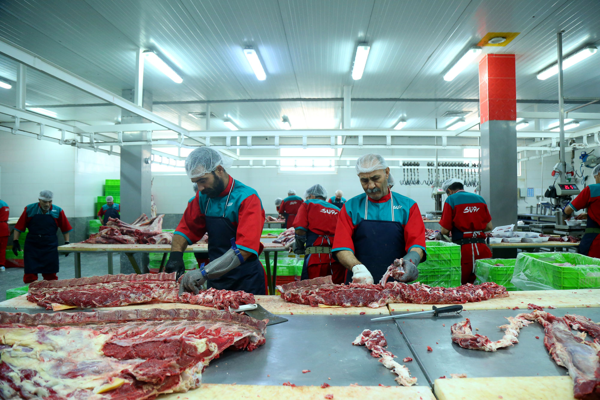 تور رسانه ای به مناسبت هفته دامپزشکی 