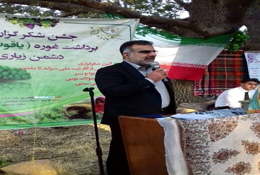 از  صنایع فرآوری انگور حمایت می‌شود