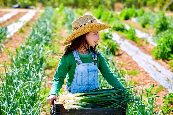 حکمرانی غذایی، نماد استقلال (1) 