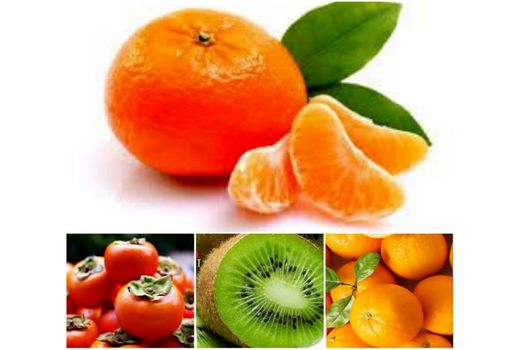 صادرات 5000 تن محصولات کشاورزی از بابل به خارج کشور