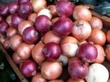 برای اولین بار در شهرستان دره شهر صورت گرفت
