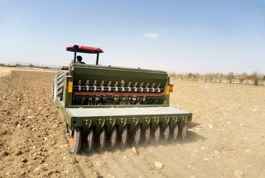 کشت قراردادی گندم با شروع کشت شتوی در سپیدان