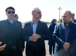 بازدید معاون وزیر جهاد کشاورزی از مزرعه تولید بذر ذرت قزوین 