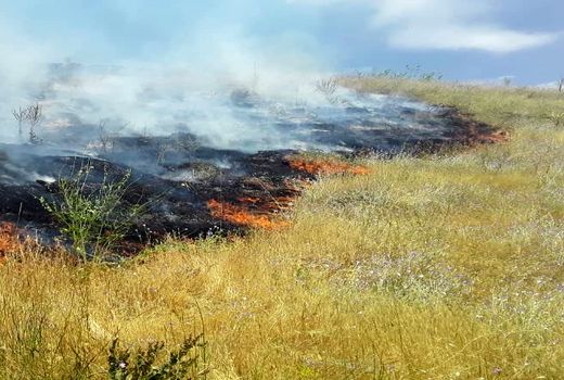  یکهزار و ۹۲۰ هکتار از اراضی ایلام طعمه حریق شد