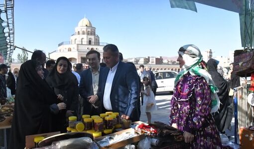 توسعه صنایع فرآوری، کلید افزایش ارزش افزوده سماق و زغال‌اخته ارسباران است