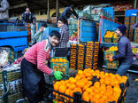 کاهش قیمت سیب و پرتقال در یزد
