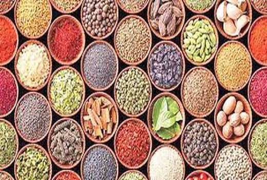 توسعه کشت گیاهان دارویی در اراضی رستم