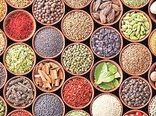 کشت گیاهان دارویی و مرتعی در سطح ۳۵۰۰ هکتار از مراتع  استان سمنان