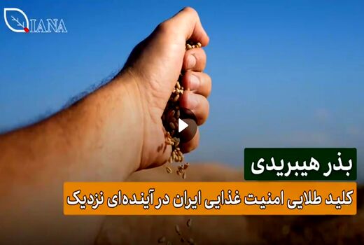 بذر هیبریدی، بذر آینده و کلید طلایی امنیت غذایی 