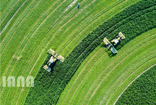 مزرعه‌ای در پنجاب پاکستان