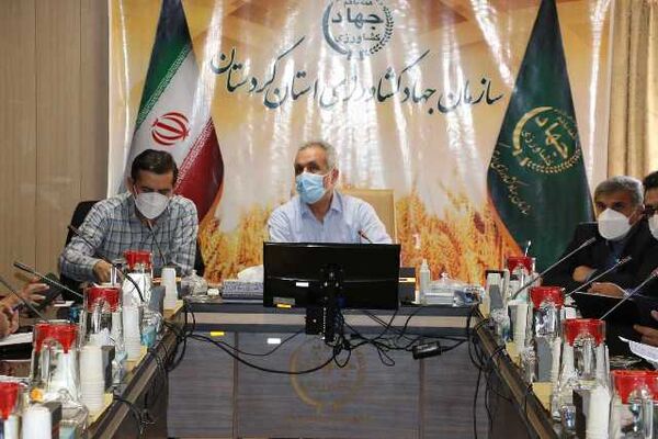 افزایش ۸ درصدی تولید مرغ در کردستان