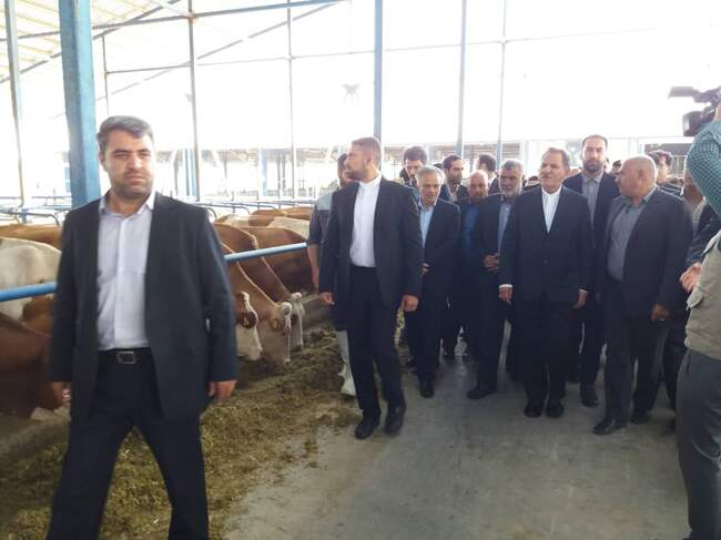 بازدید و افتتاح پروژه های کشاورزی استان خراسان رضوی توسط وزیر جهاد کشاورزی