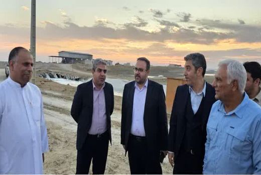 هرمزگان ظرفیت ۵۰ هزار هکتار اراضی پرورش میگو دارد