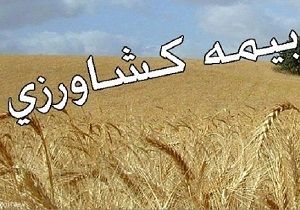 پرداخت بالاترین درصد غرامت کشاورزان خسارت دیده خراسان جنوبی