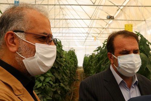 سرمایه لازم برای متقاضیان گلخانه فراهم می شود